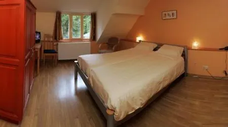 Otel Aux Massotais 3*